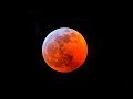 Super Blood Wolf Moon - 2019 | Amazing View From Miami Beach