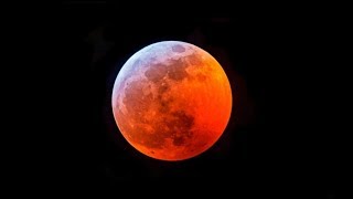 Super Blood Wolf Moon - 2019 | Amazing View From Miami Beach
