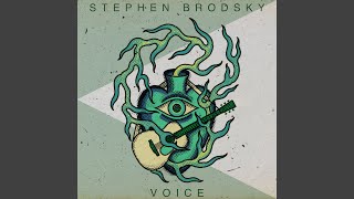 Voice