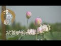 【靜思妙蓮華】法華經分別功德品 - 至心誠意 虔敬供養 - 20231214 第1567集