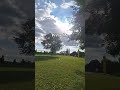 gonna miss the summer#primelife #summer #nature #sun #grass #viral #shorts #fypシ #trees