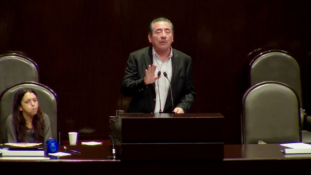 Dip. Antonio Ortega (PRD) - Reservas al dictamen sobre el Banco de Bienestar ortega ウクレレ 評判