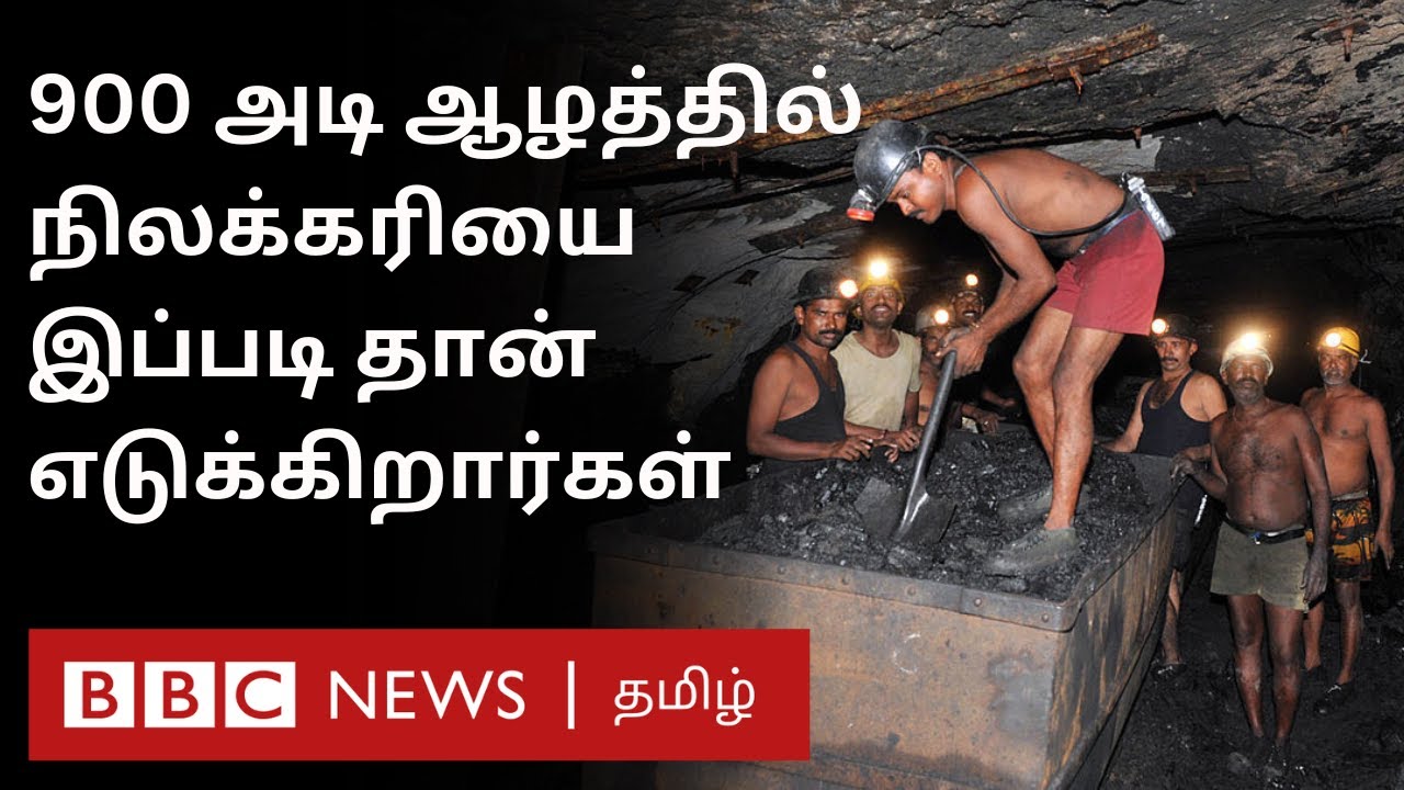 Coal Mine: பூமிக்கு அடியில் சுரங்கங்களில் இருக்கும் நிலக்கரி எவ்வாறு எடுக்கப்படுகிறது?