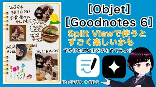 [Objet] [Goodnotes 6] It might be really fun to use with Split View.