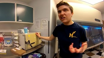 How a Neural Engineering Lab looks like!? (360 video)