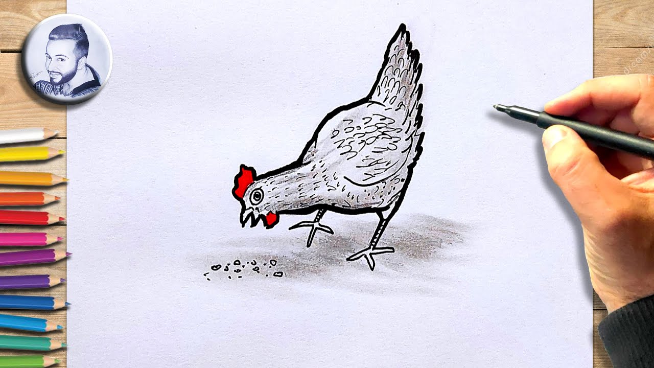 Tuto dessiner une poule très facile apprendre à dessiner une poule pas