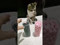 Relaxing 🧶SatisfyingASMR Cat ReverseBeads Fun#shorts #cat #asmr #beads#satisfying