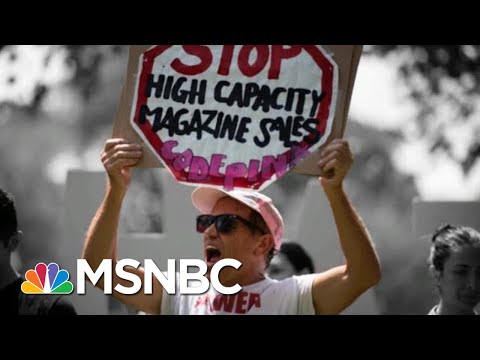 More Democratic 2020 Candidates Are Backing An Assault Weapons Ban | The 11th Hour | MSNBC