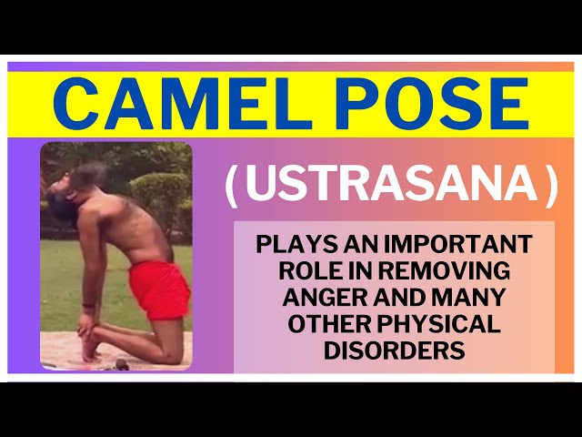 Camel Pose | How To Do Ustrasana – Yoga Society