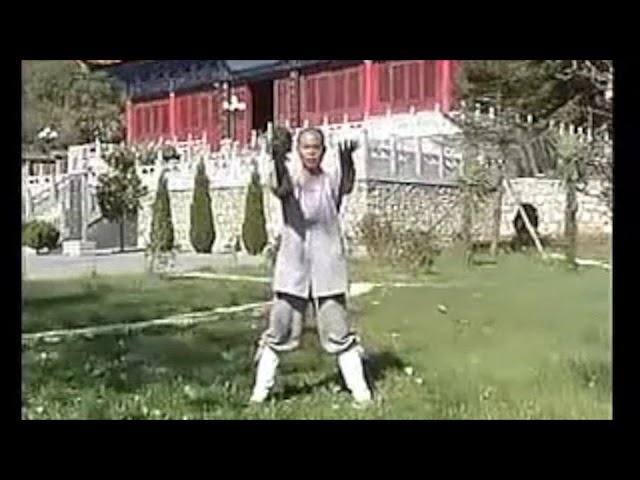 Qi Gong Bouddhiste - Yi Jin Jing