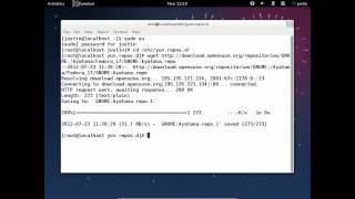 install Unity on Fedora 17!