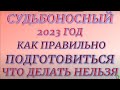 Судьбоносный 2023 год. Как правильно подготовиться и встретить год Кролика... Что делать нельзя..