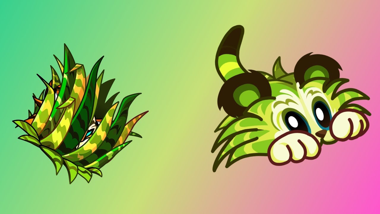 Tiger Grass ,50 Premium Pinata Seed Packets YouTube