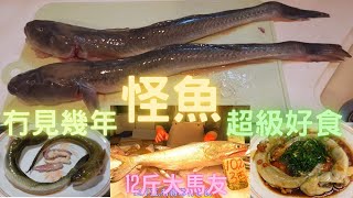 幾年冇見,雖然樣子古怪,但食味驚為天人超級滑肉,有魚味,重有陣甜甜地香味,見到超級開心,即刻買.有條12斤馬友有得睇冇得食香港海鮮~社長遊街市(Hong Kong Seafood Market)