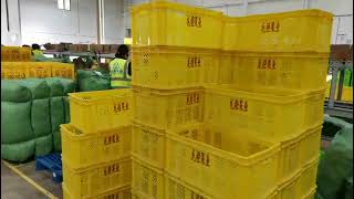 High Speed Case Erector ,Packaging Speed Up To 1500 Cartons Per Hour