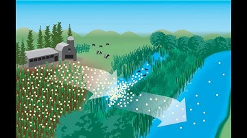 Algae Bloom Intro Video