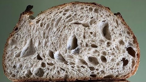 Artisan Sourdough Bread Using a Stand Mixer Recipe (Same Day Sourdough Baking Tips) Open Crumb