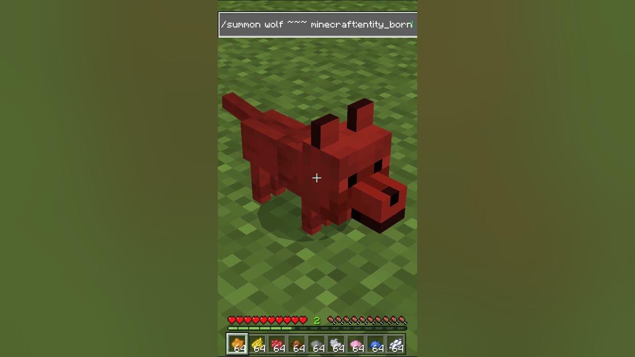 Minecraft How to DYE WOLVES in Minecraft (Bedrock Edition) shorts minecraft mcpe YouTube