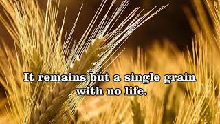 Unless a Grain of Wheat