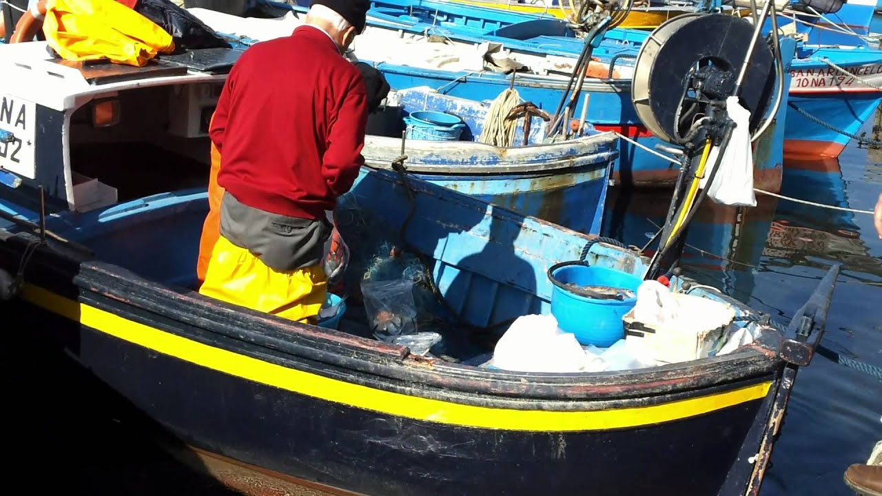 DA CAPO MISENO A ACQUAMORTA HD di PACOSMART BACOLI- MONTE DI PROCIDA