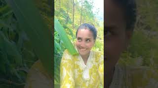 Koi K Ho K K Sabai Lukiko Xn