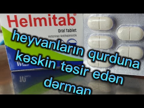 Video: Qurd qanlı qılınc otu nə edir?