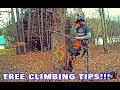 Arborist Tree Climbing Tips!!!
