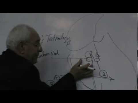 video phone beyonce mp3 Dr.Mohsen - A.N.S.14 - Non-selective Beta Blocker