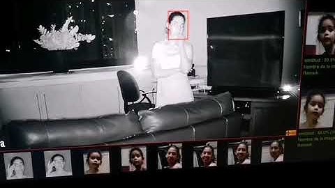 LS VISION AI Technology 22400 Face Database Alarm System Face Capture Analysis Recognition