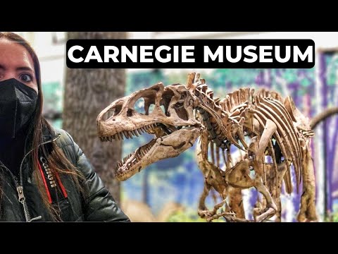 Video: Museos de Arte Carnegie & Historia Natural