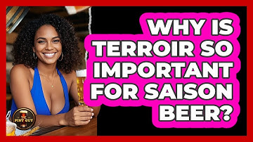 Why Is Terroir So Important For Saison Beer? - The Pint Guy