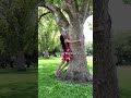 Hug A Tree