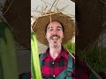 Kennst du DIESEN Gurkentrick für deine Pflanzen? #shorts