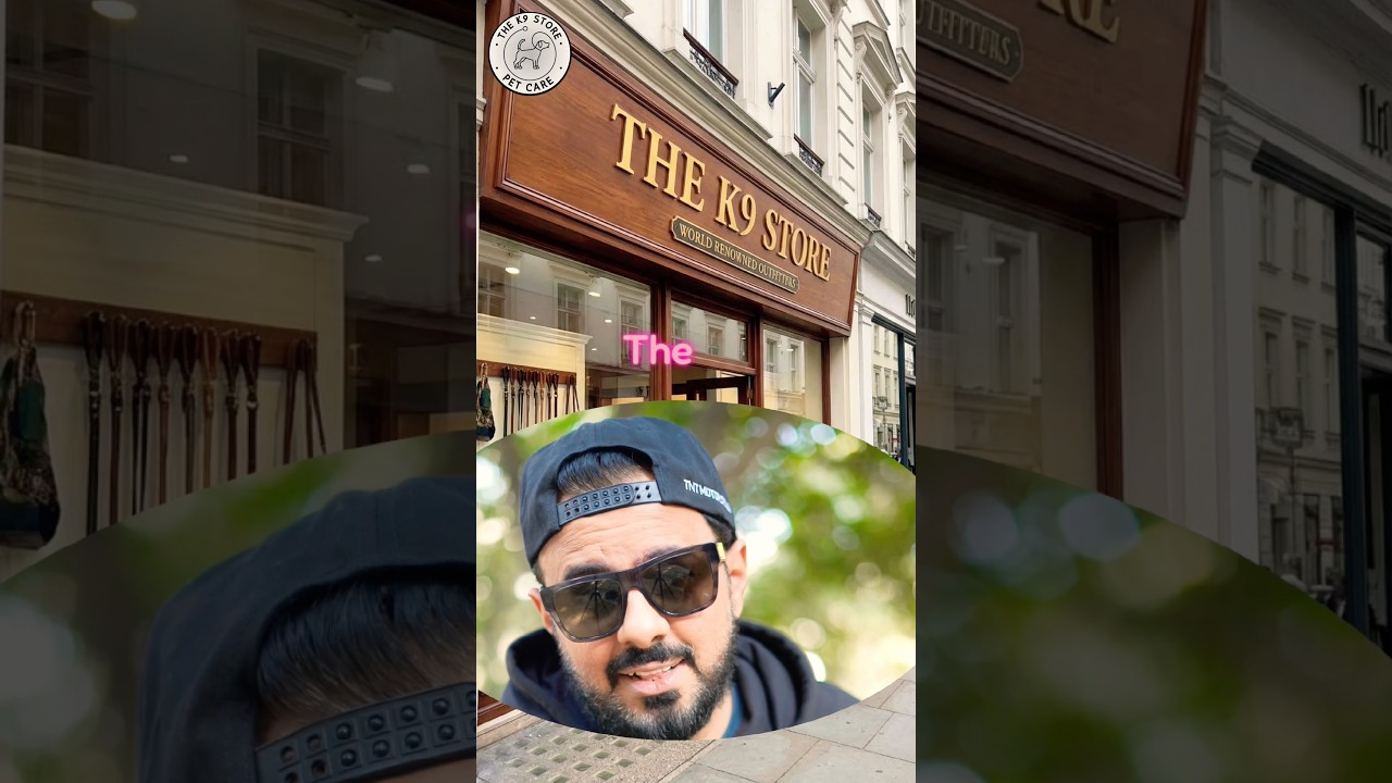 Slip Leash For Dog Shows , Dogs Training. 