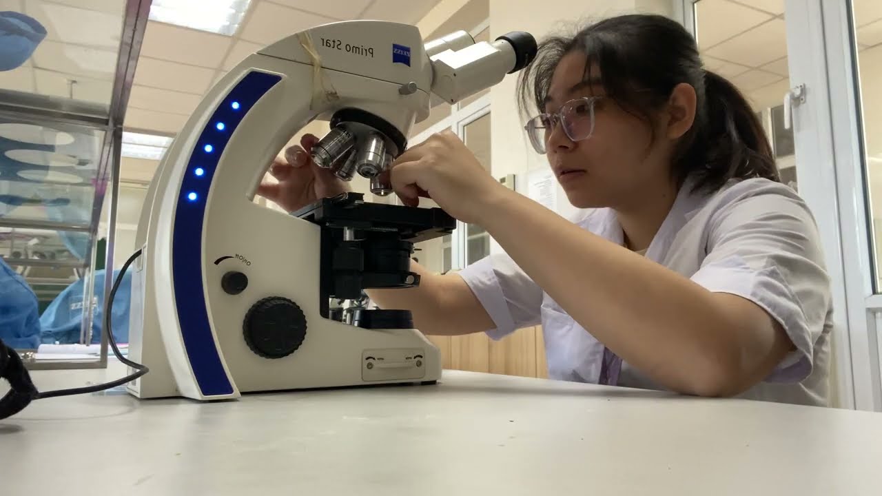 dược liệu 1 20/11/2024