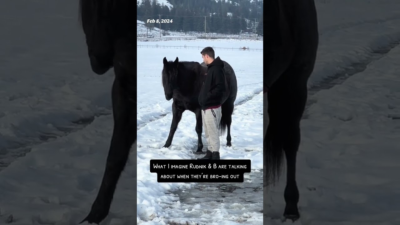 Просто пара приятелей болтают о своих приятельских делах 😂 