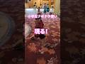薙刀で棒回し決めポーズ#如意棒#棒術 #モンキー・マジック#西遊記#小学生#香取慎吾