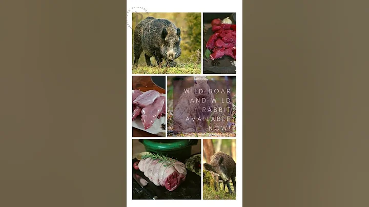 Wild Boar & Wild Rabbit