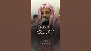 القارئ: رعد الكردي 🍃 أرح سمعك