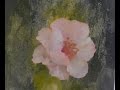 The Beauty of Oil Painting, Mini Delights Youtube shows, Episode 1 "Poppy"