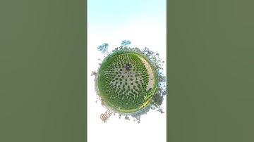 Insta 360 camera video. #fun #funny #360camera #insta360 #nature #trending #viralshort