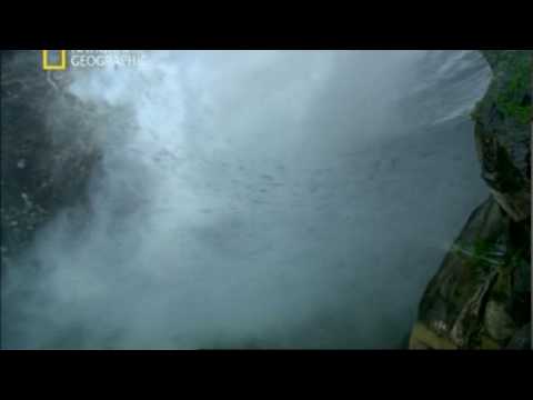 Ranker Video