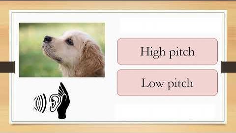 Learn About Pitch and Volume | KS2 Music and Science Activities | Hands-On Education