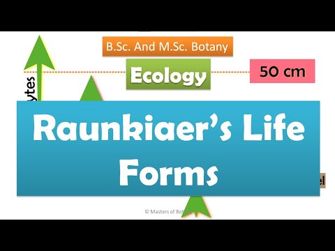 Video: What Are The Life Forms Of Plants