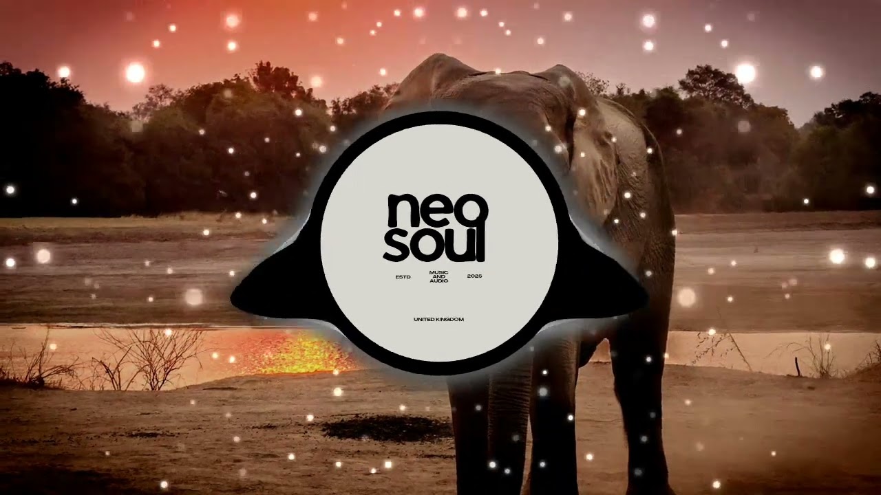 In the Groove | Neo Soul | Soulful Amapiano | Premium AI Music