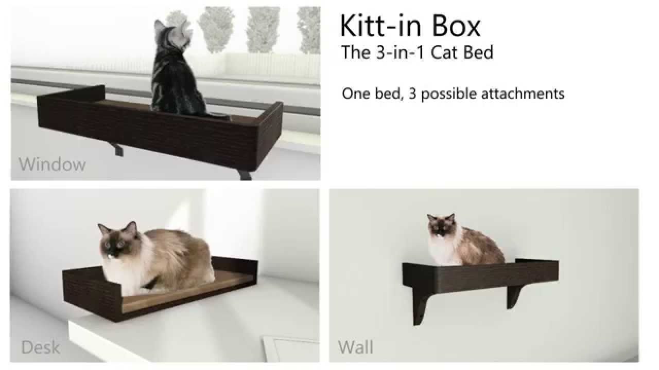 Kitt In Box 3 In 1 Cat Bed Is Seeking Supporters Youtube