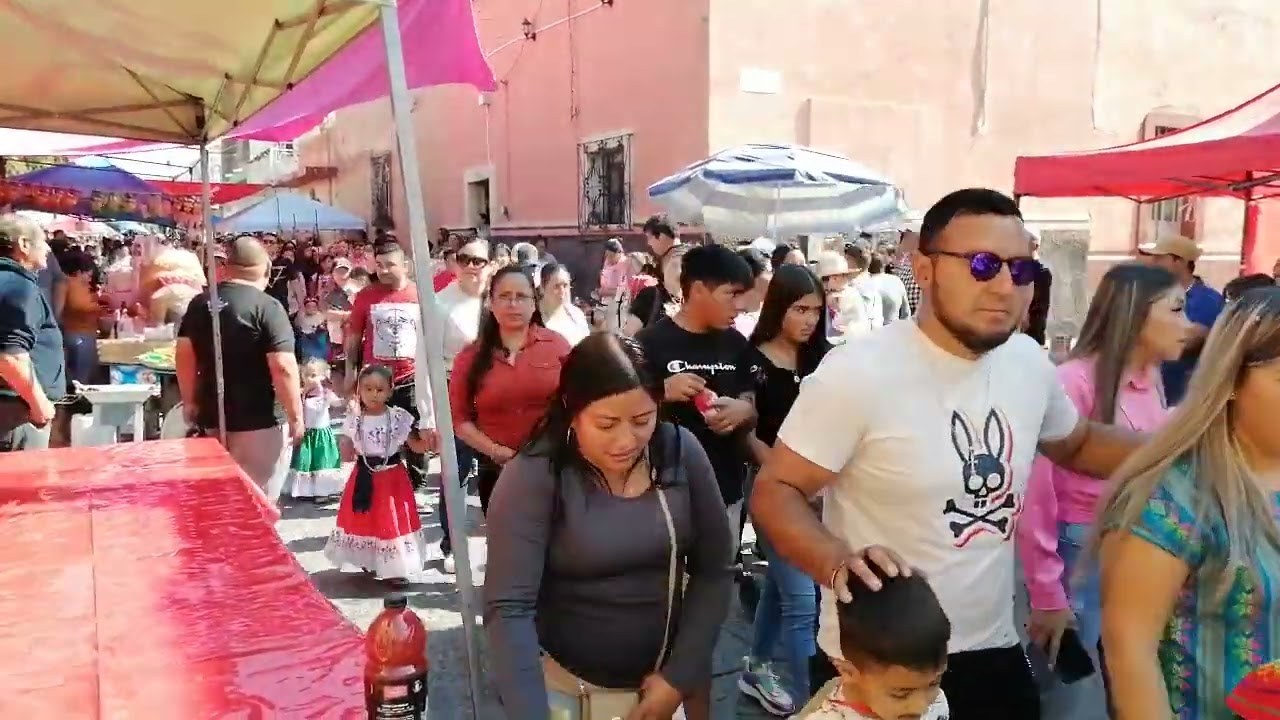 Peregrinación Virgen de Guadalupe, Rincón de Tamayo Gto.  12-12-2024