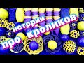 🧼Истории про кроликов #2 🤩🐰 Мыло, хрустяшки, кубики🧊! Смотри и слушай будет круто 🔥😉