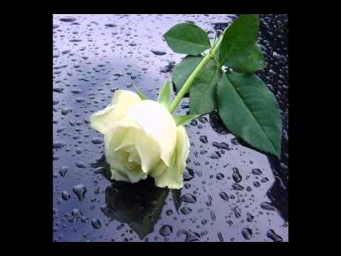 David Bar MONATREBIXAR PIKREPS  მონატრებიხარ ფიქრებს