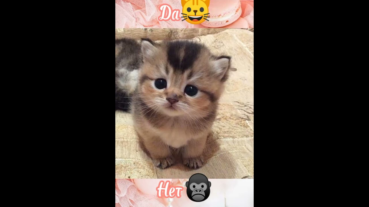 2 апреля 2023 г.